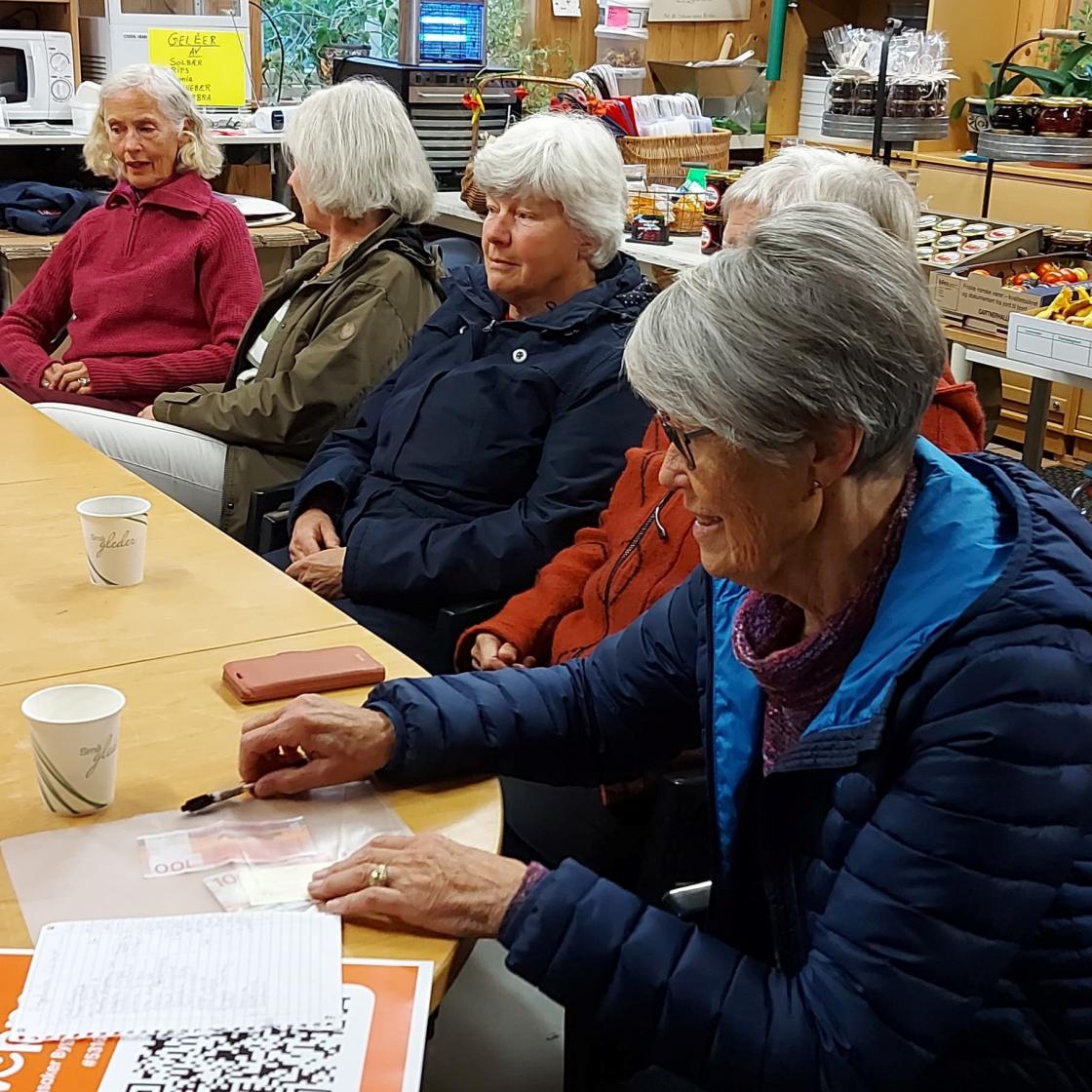 18 personer fra Ringsaker og Nes-Helgøya møtte opp