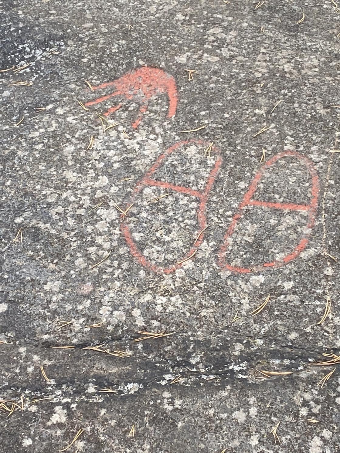 Bygdevandring til helleristningene