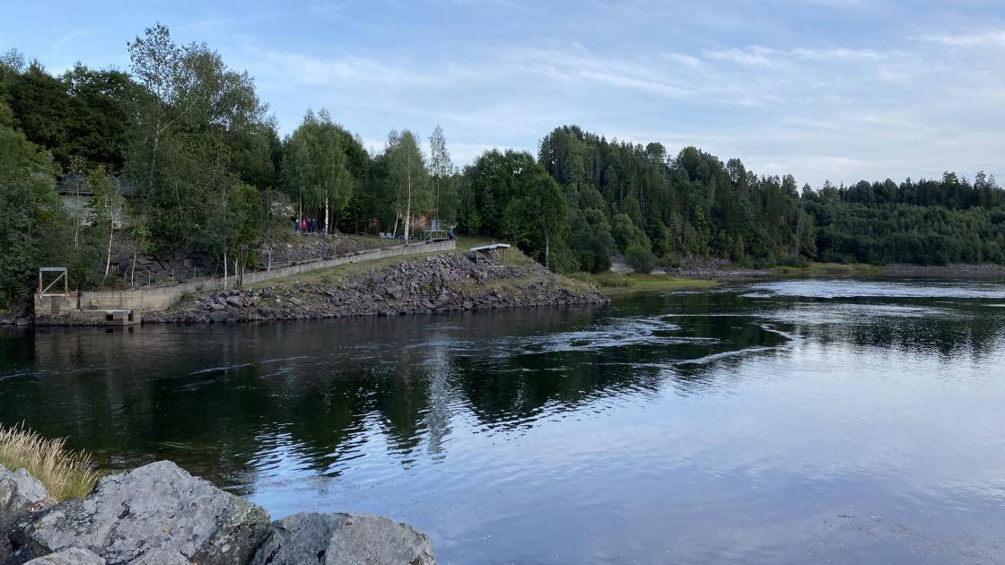 Bygdevandring til helleristningene