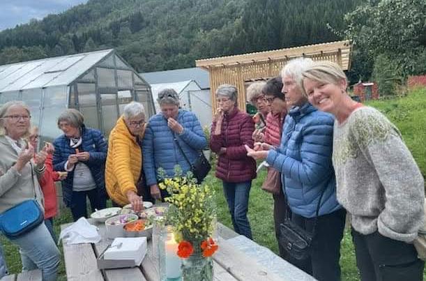 Dei fekk smake på oppskorne grønsaker og nydeleg dipp.