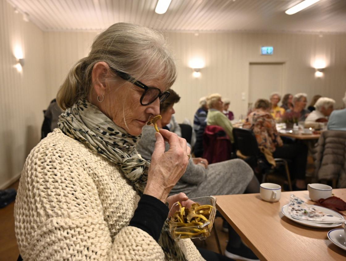 Gjørol Nyland kjenner på lukten av traktkantarell