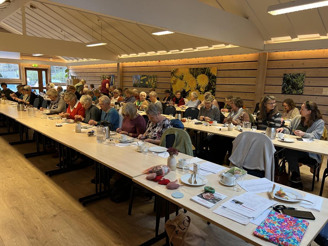 Mange deltakakr på Streifen