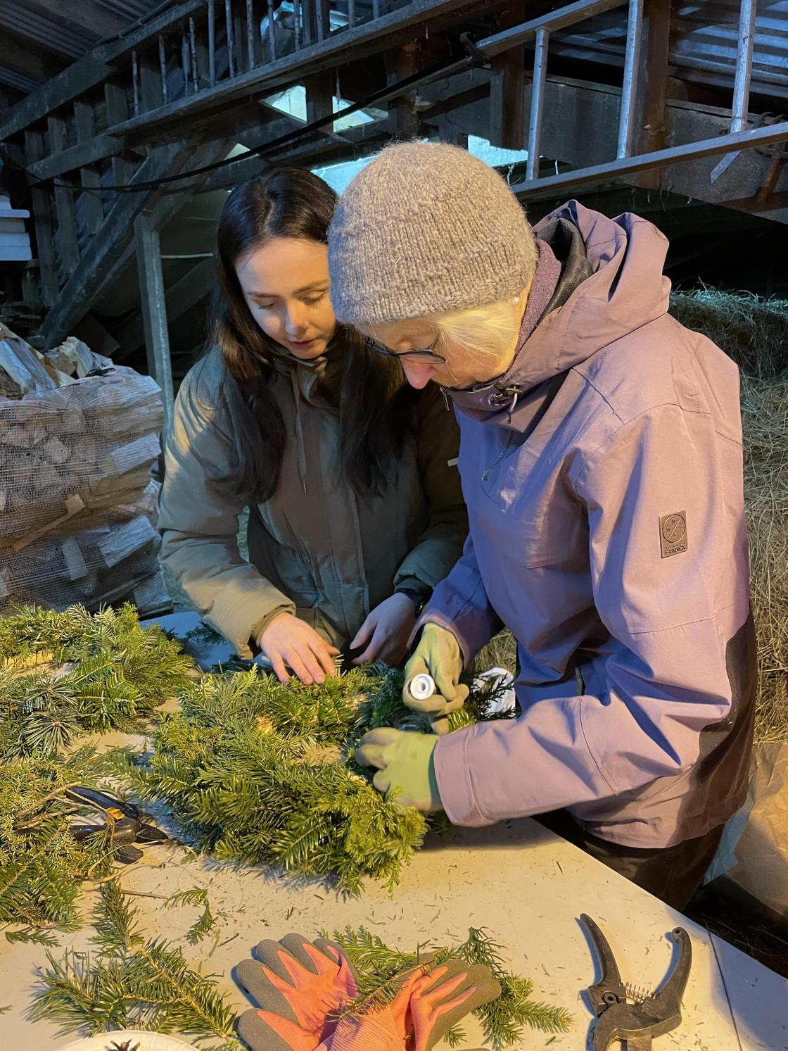 Villbjørk hjelper Ingrid