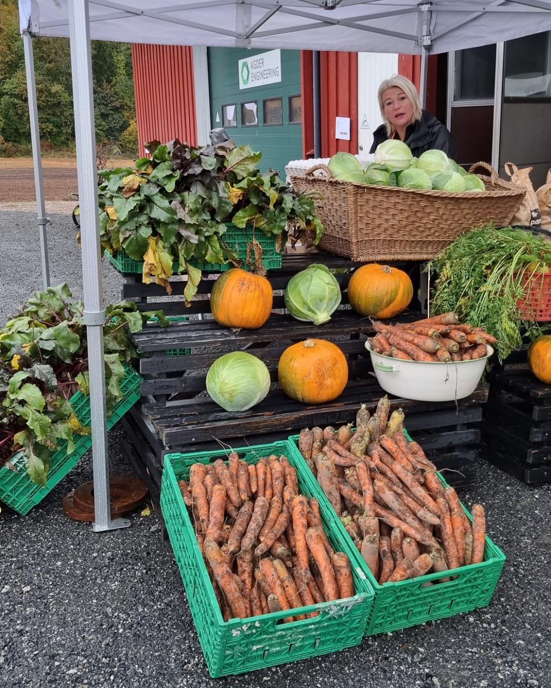 Grimstad Bygdekvinnelag hadde høstmarked på Reddal ressursgård med fokus på lokal matproduksjon og hvor vi er i den store verden. Grimstad Bygdekvinnelag hadde høstmarked på Reddal ressursgård med fokus på lokal matproduksjon og hvor vi er i den store verden.