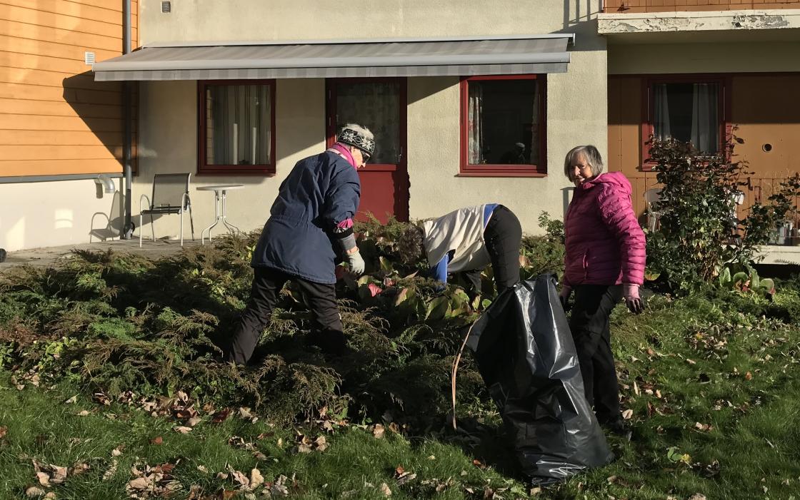 Skvalderkålgjengen Åse, Liv og Rigmor.