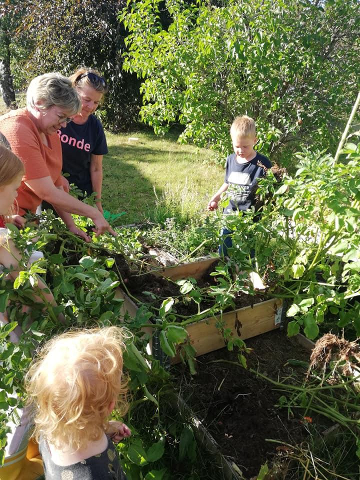 Solum Bygdekvinnelag arrangerte matkurs for barn. Solum Bygdekvinnelag arrangerte matkurs for barn.