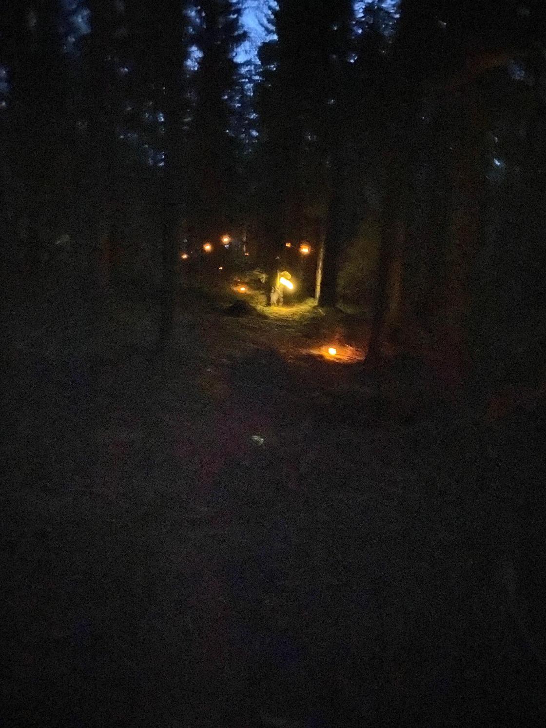 Fint i skogen med lykter, selv om snøen manglet