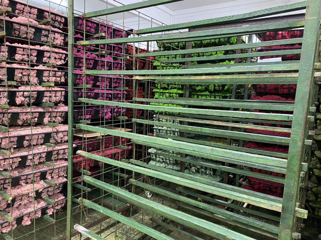 Røde og grønne farger