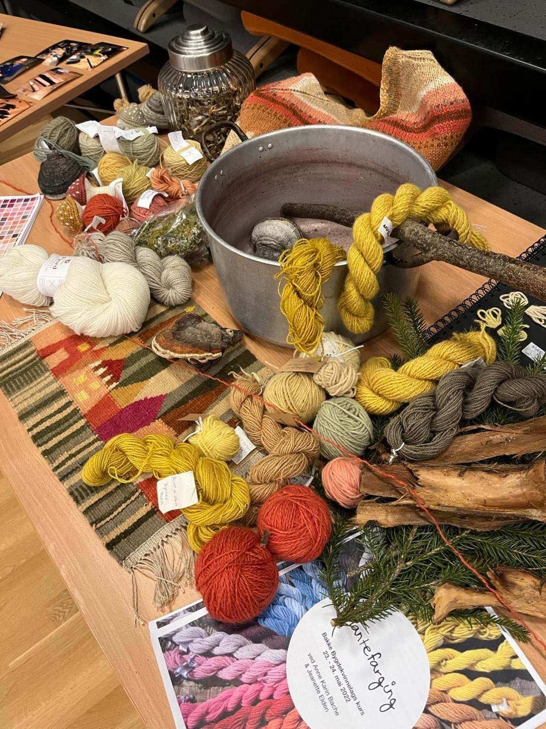 Kurs i farging med planter og sopp