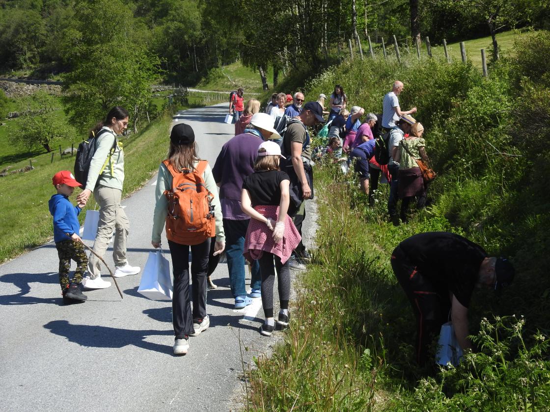 Det blei ein rusletur langs veien, her var det mye godt å finne.