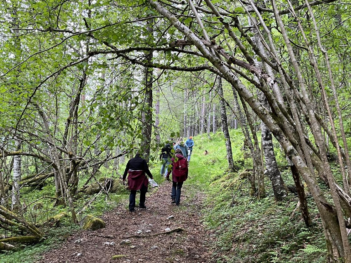 Trivelig tur i fin natur i Seterlia