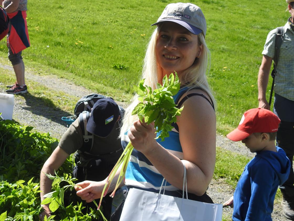 fine friske svalverkålskudd