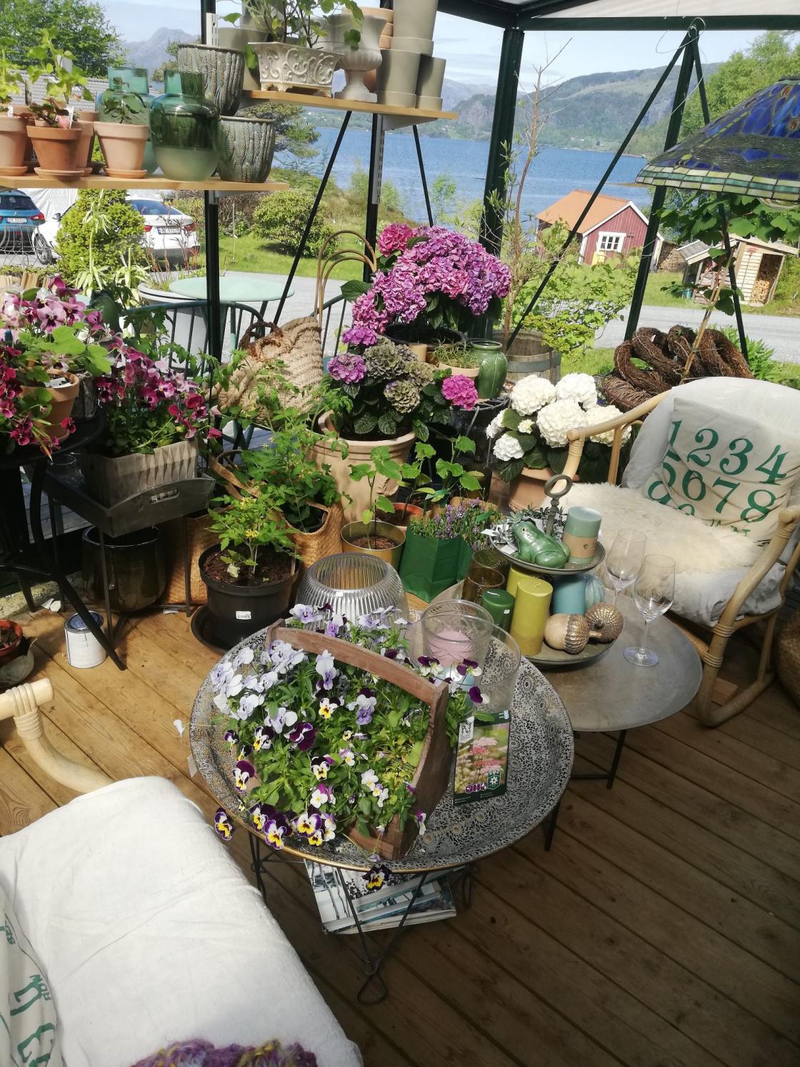 Hagestova i Leonards Forlaavelse