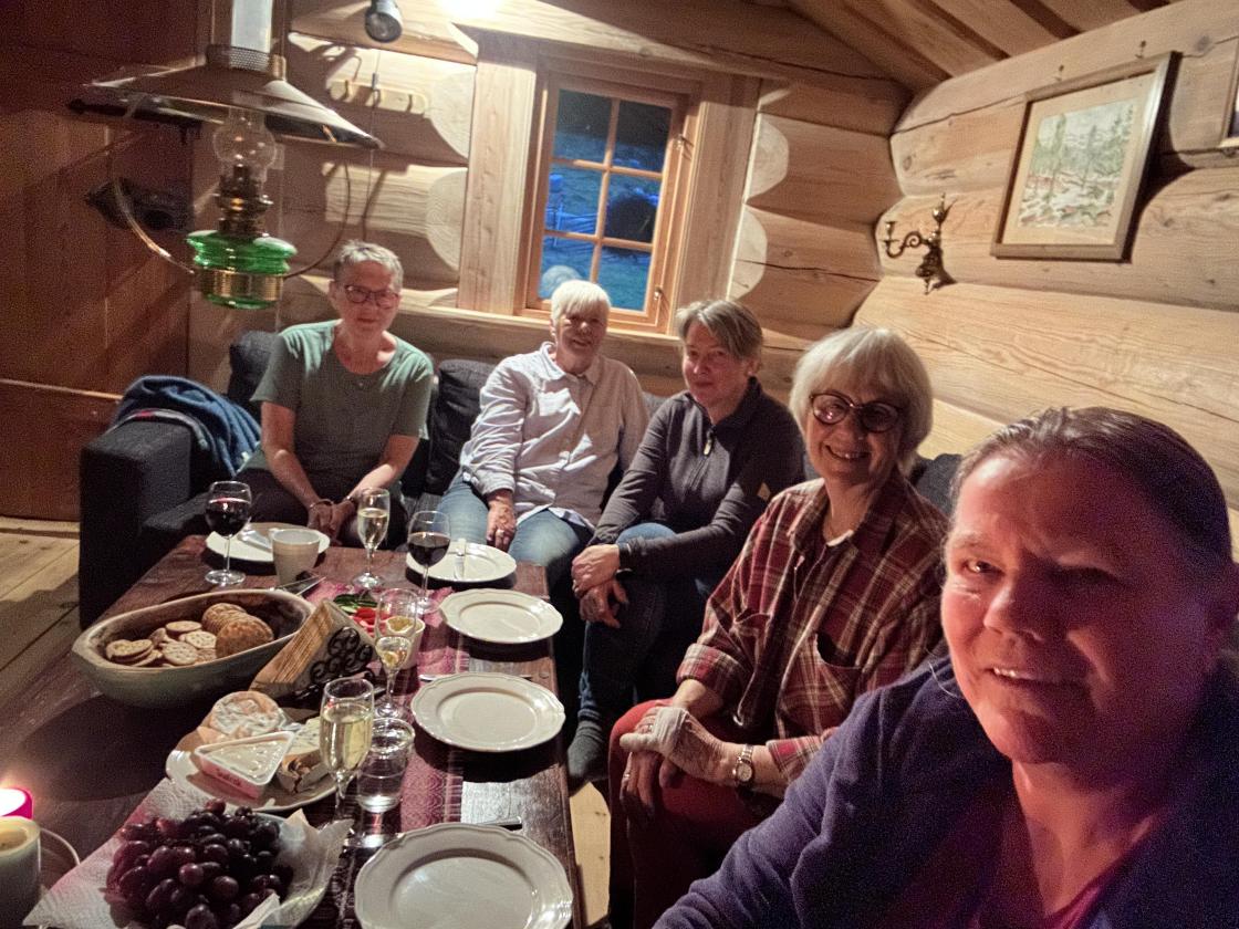 Det er trivelig i styret, har ikke du lyst til å være med?