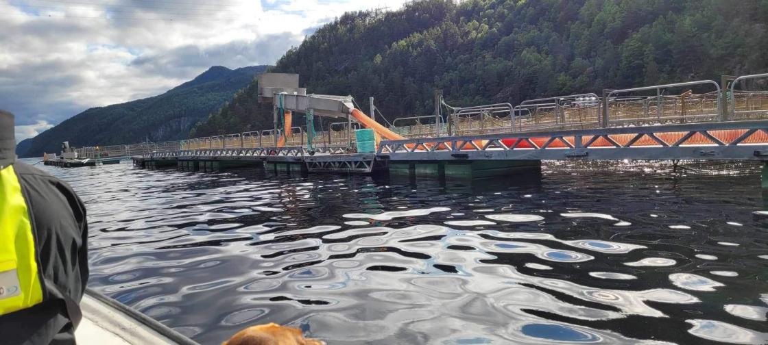 Holmen i Sirdalsvatnet
