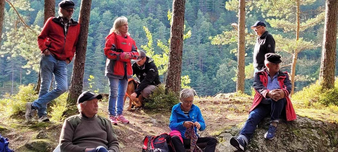 Holmen i Sirdalsvatnet