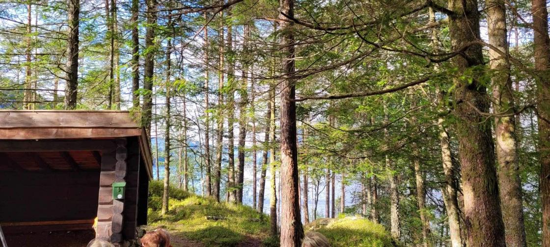 Holmen i Sirdalsvatnet