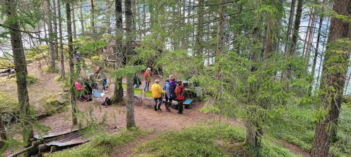 Holmen i Sirdalsvatnet