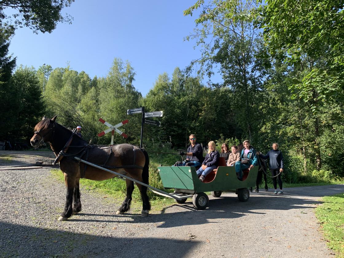 Hest for tog - det er i Hillestad det!