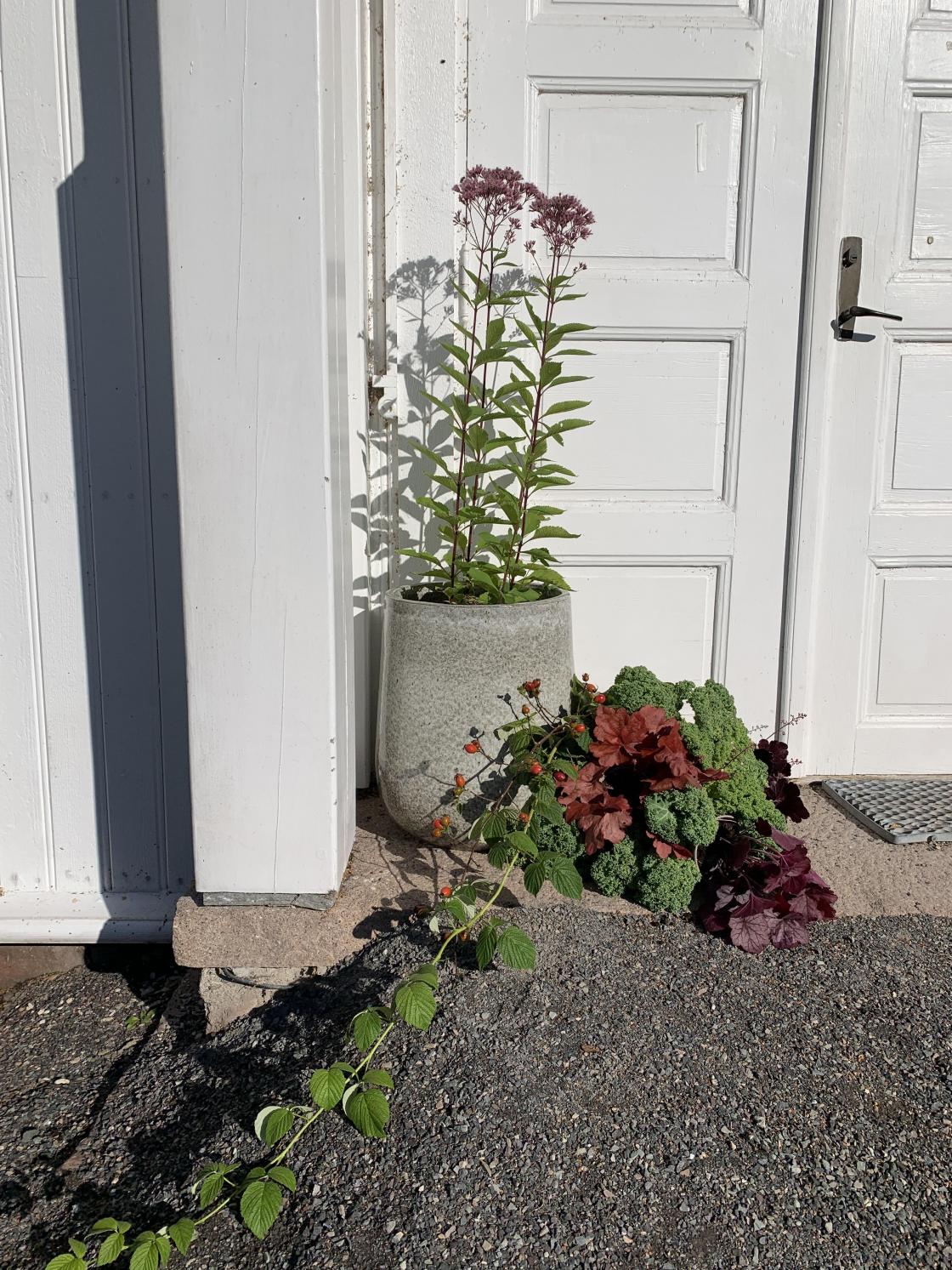 Velkommen til høstakkefest!