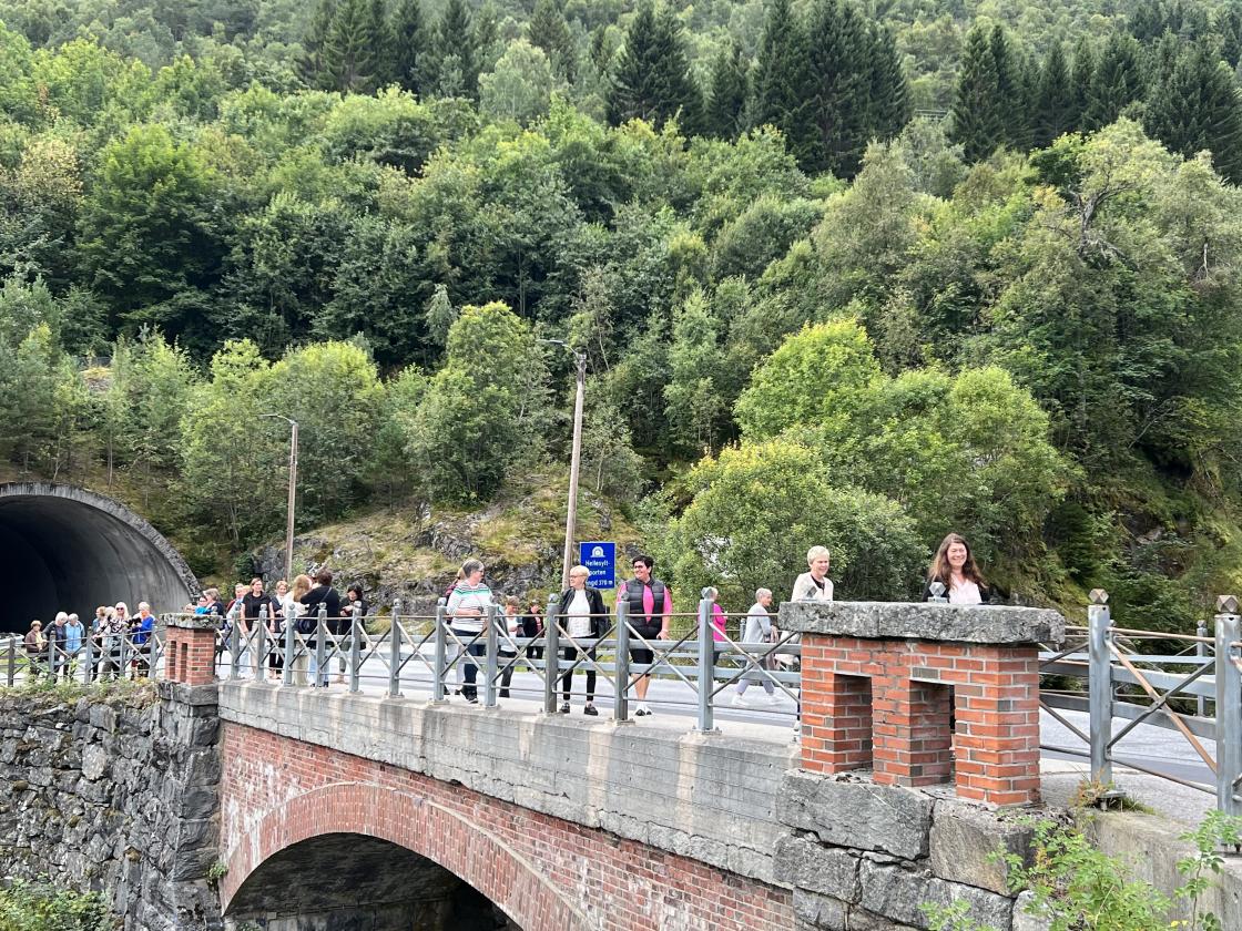 Bilde: Liv Borghild Hildre