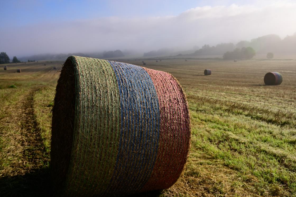 En fargerik høst her på slagenjordene