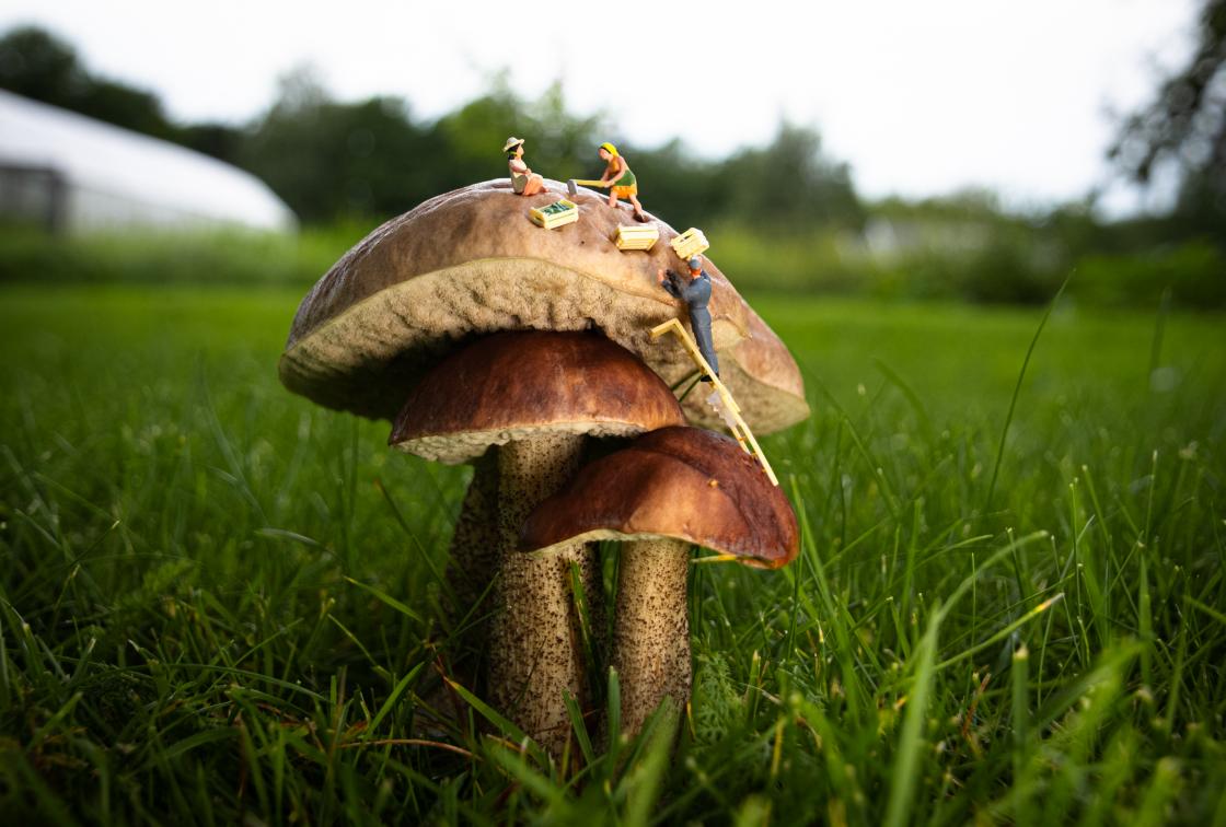 Vi får det til, samarbeider og har det gøy sammen