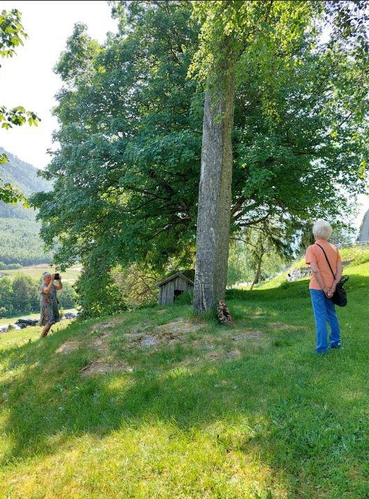 Turdeltakarar ute attmed tre