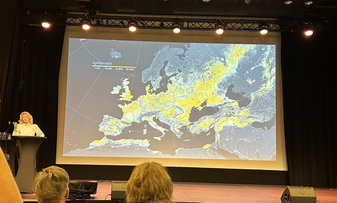 Gult betyr gode forhold for matporduksjon