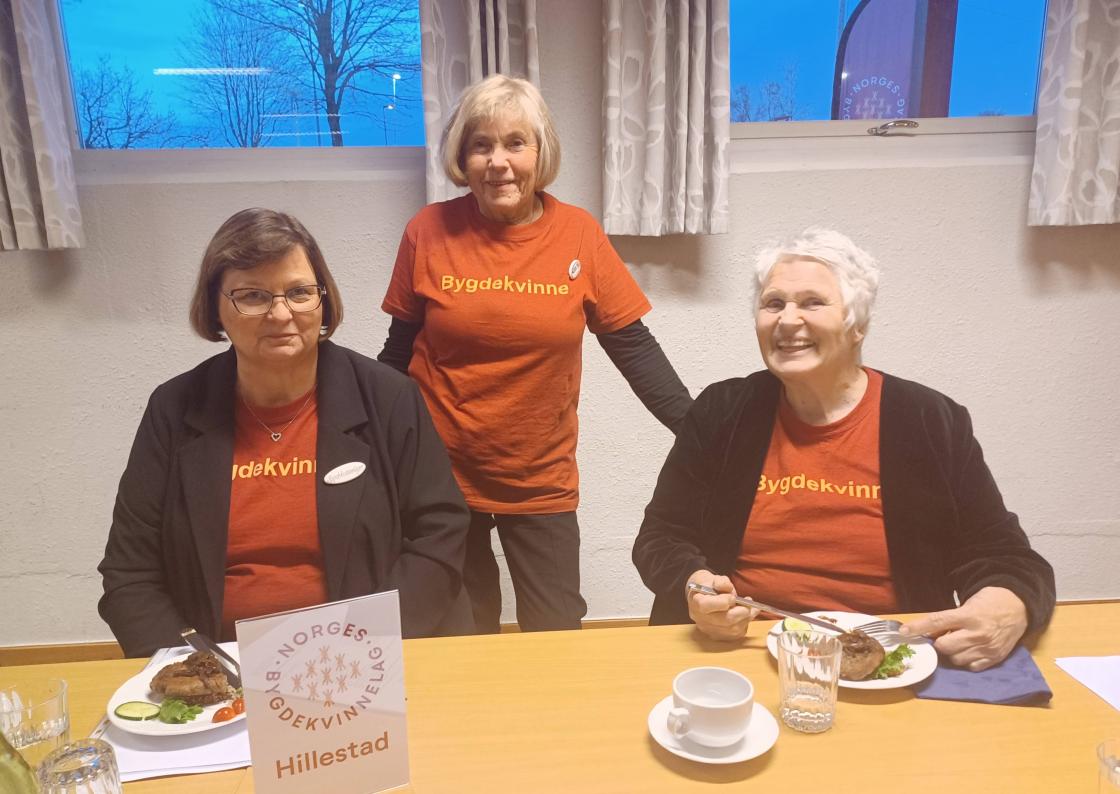 Delegater fra HBK, May Synnøve og Mary-Ann. Åse Kristine er fortograf. Torunn var invitert som tidligere leder.
