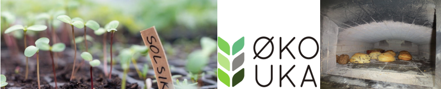 Logo til arrangører og sponsor