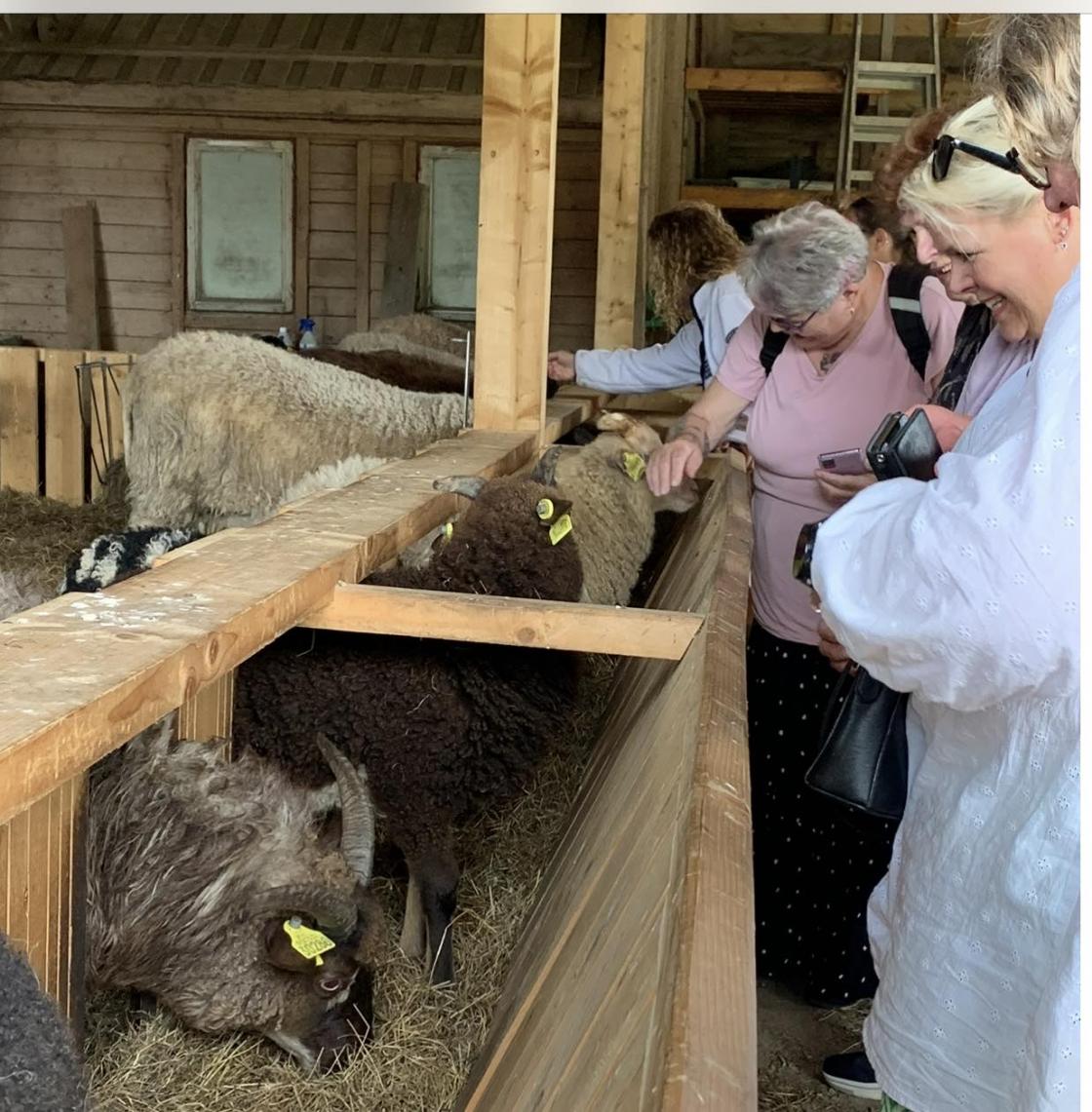 Her er det trivelig for både dyr og mennesker