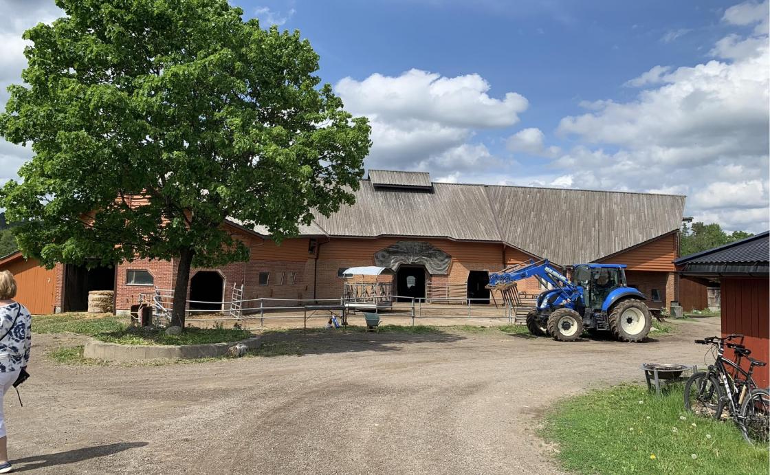 Driftsbygningen i landsbyen med dyr og produksjon fra melk, kjøtt, egg, ull og skinn