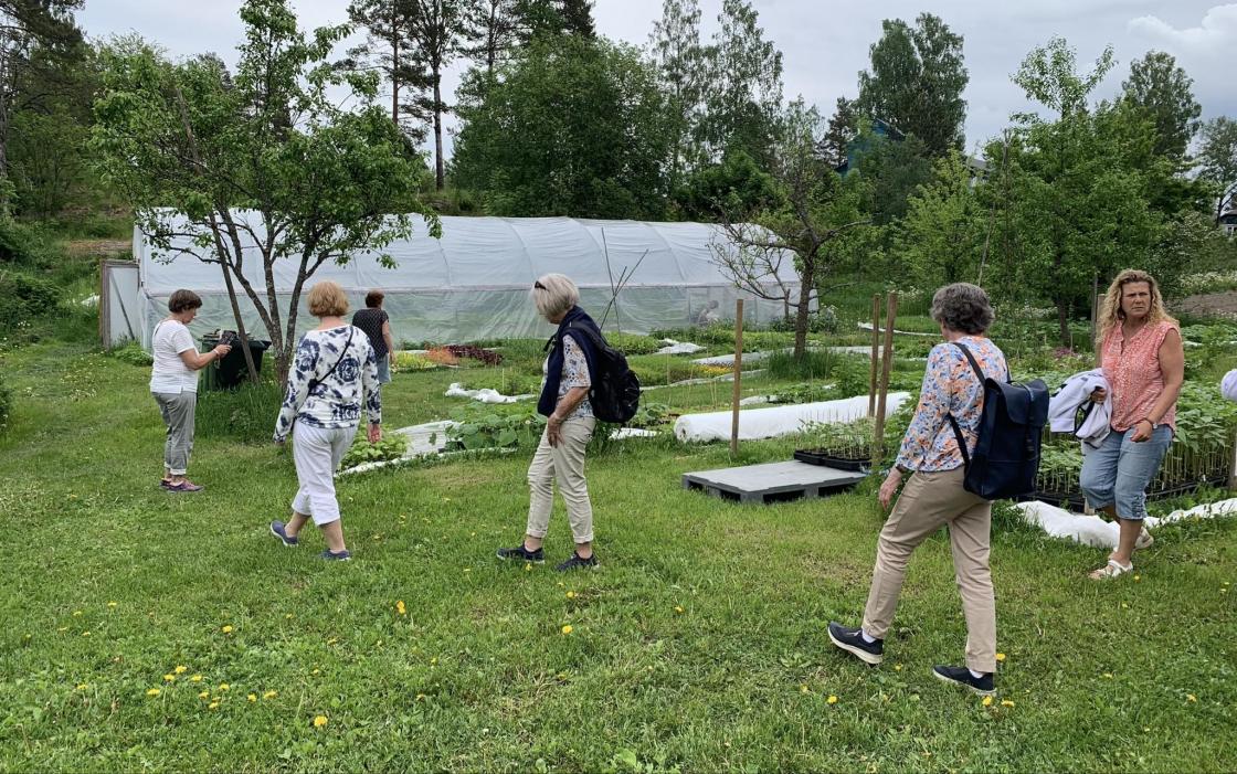 Det dyrkes økoligisk og på biodynamisk måte