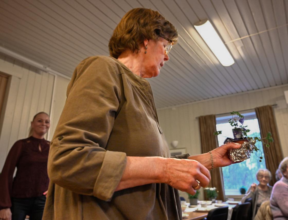 Her viser Wenche en søt liten anemone, gi bud!