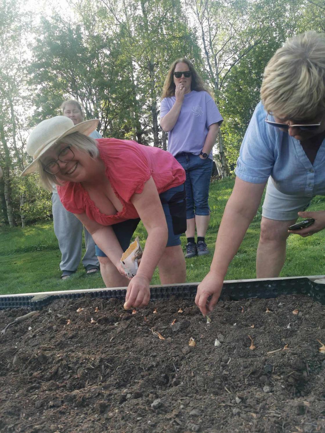 Setting av stikkløk.