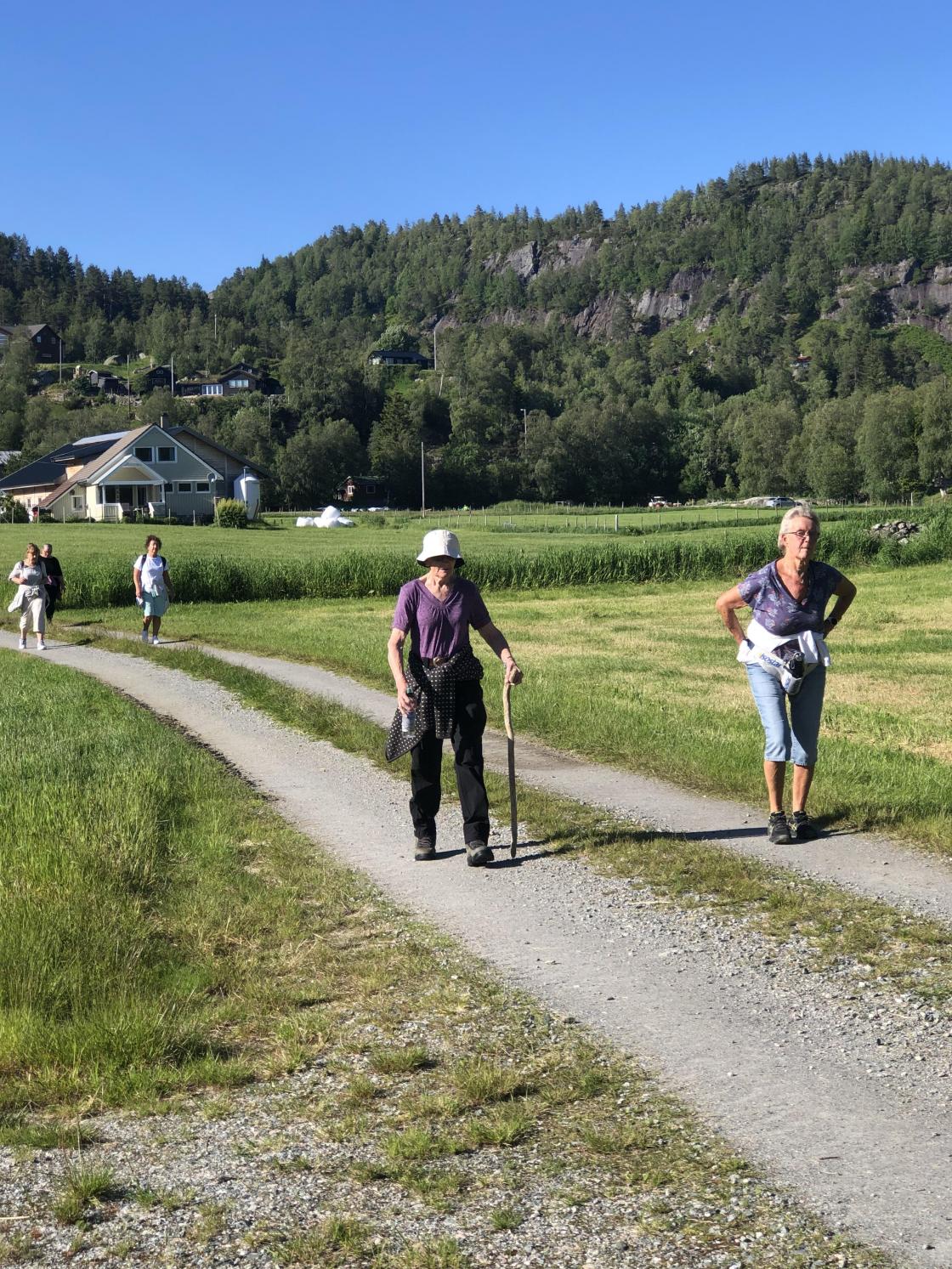 Tjørhom
