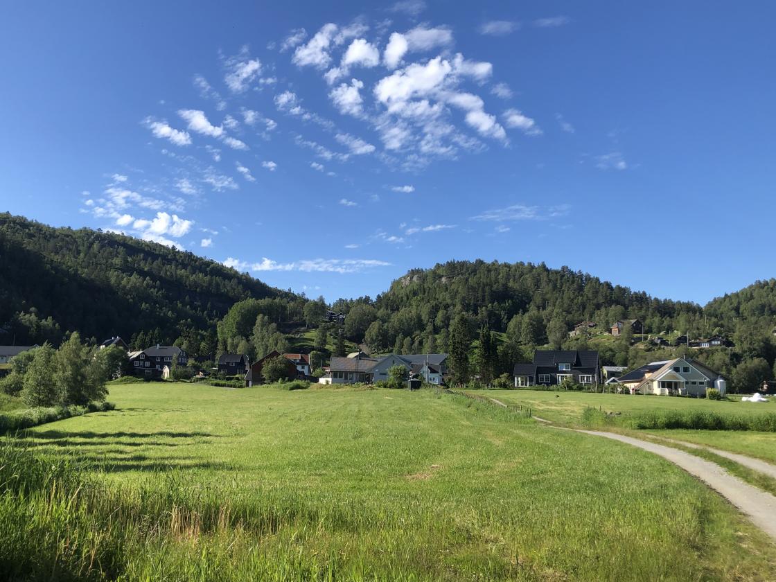 Tjørhom