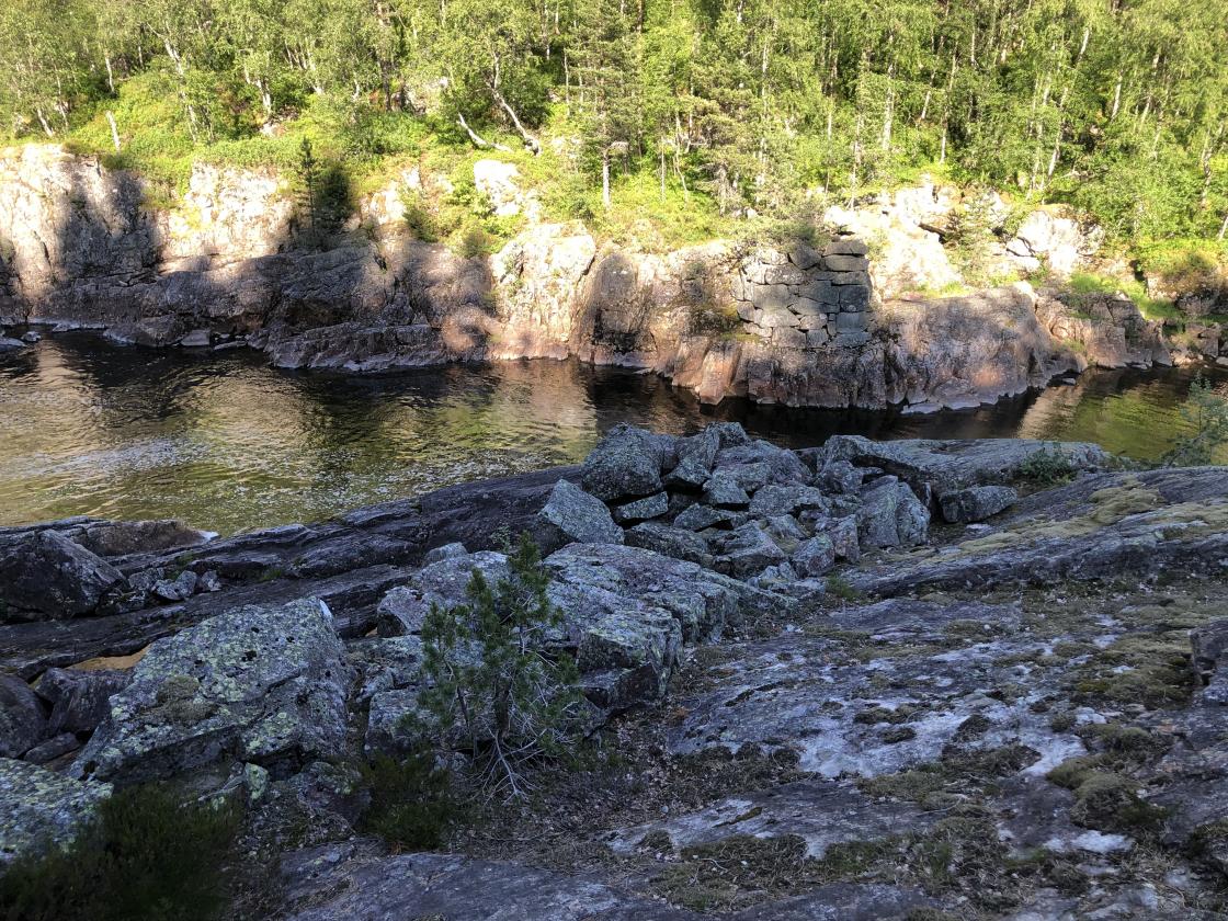 Tjørhom