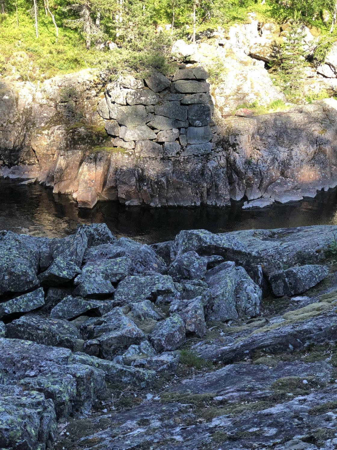 Tjørhom