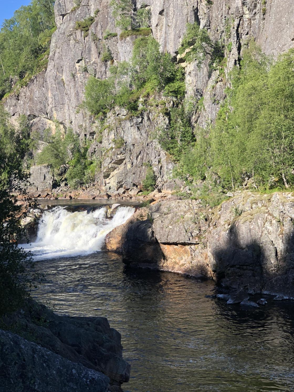 Tjørhom