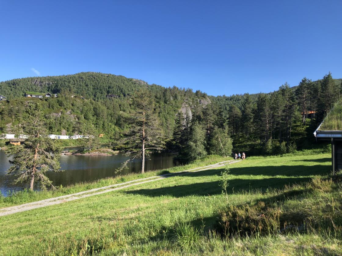Tjørhom