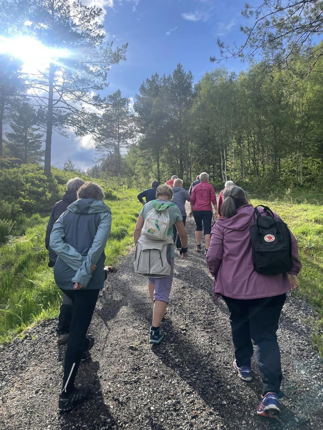 Storeli og Nespervatnet