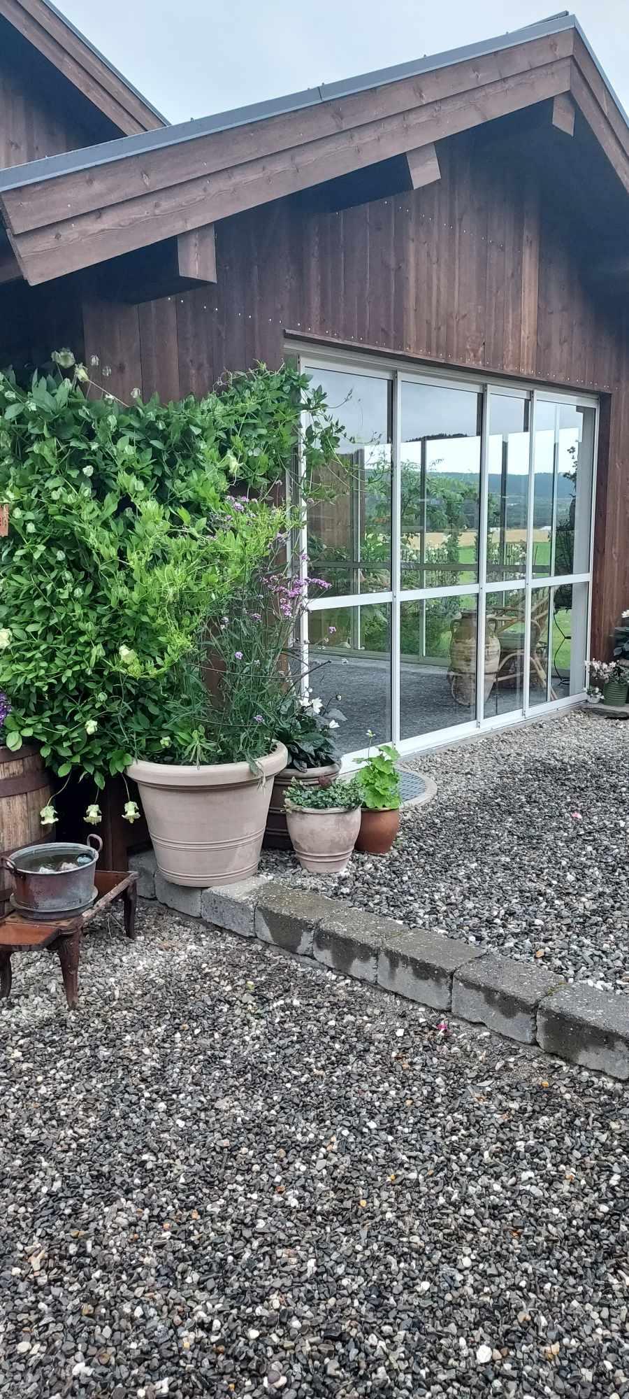 Inneareal sett utenfra med stauder langs vegg