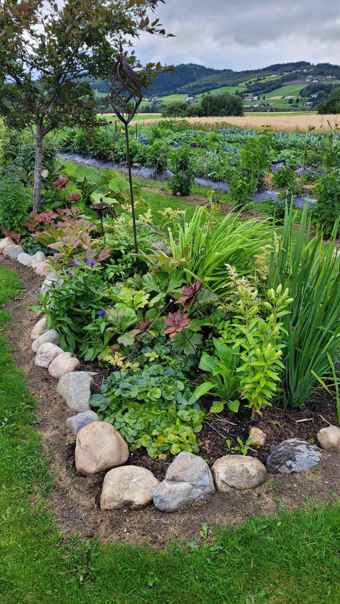 Bed med stauder og utsikt over jorder bak