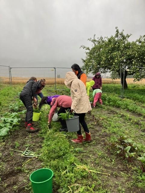 God stemning til tross for gråvær.