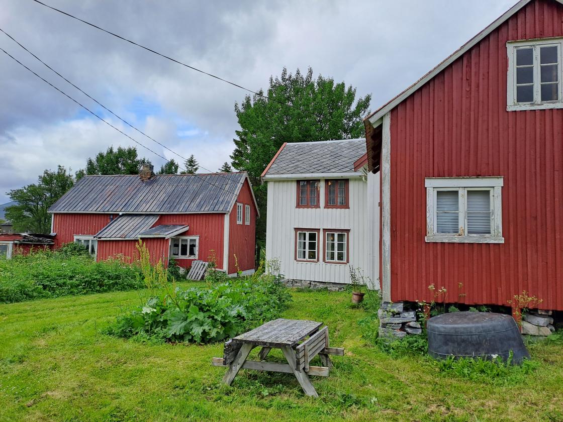 Steinsland klyngetun