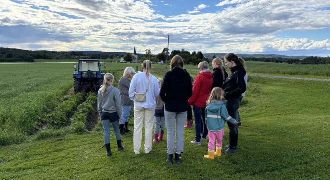 Nå skal vi luke Foto Anna Nabbing