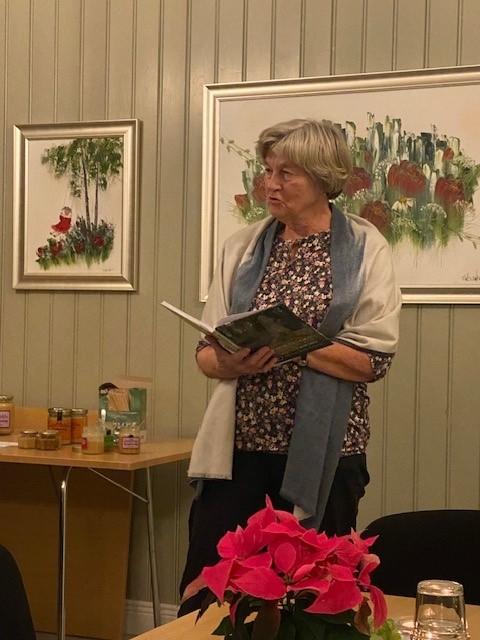 bok om Berg Bygdesokningen