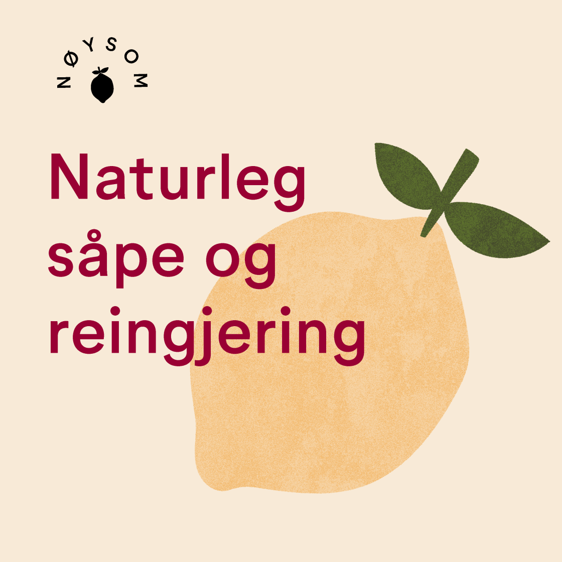 Naturleg såpe og reingjering